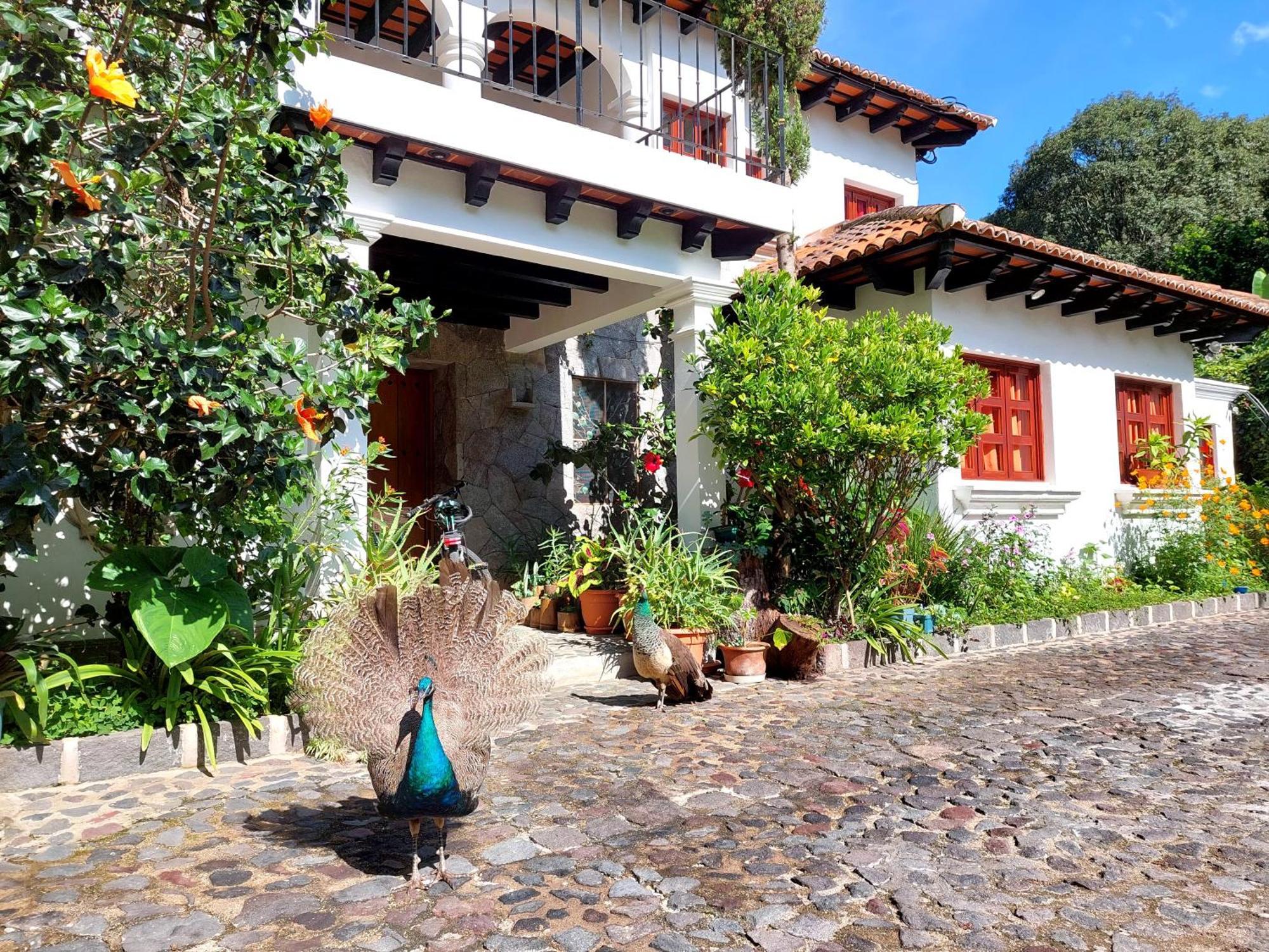 Hotel Y Jardines Casa Buho Antigua Exterior foto